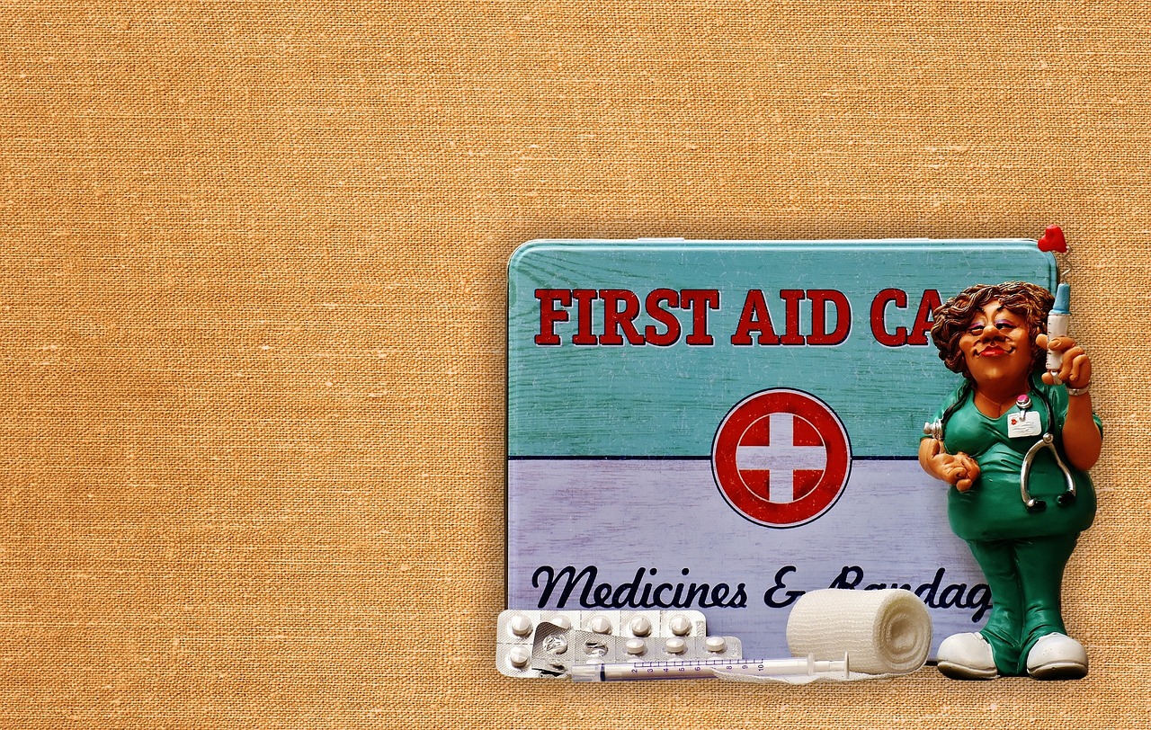 How to Choose the Right First Aid Class for Pet Owners